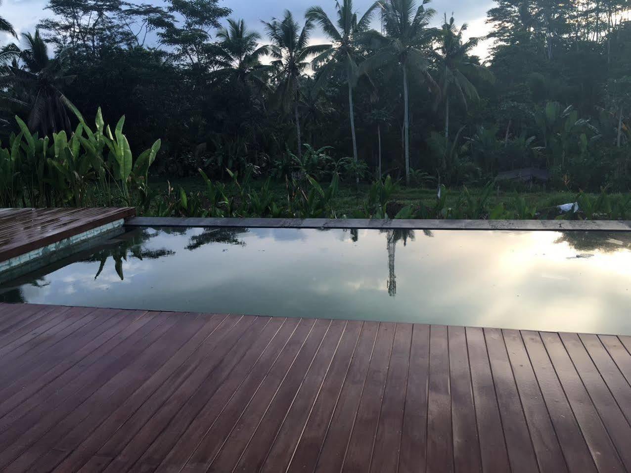 Villa Tegal Tis Ubud Payangan Buitenkant foto